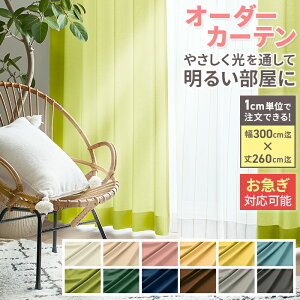 y Tv Fiԍ e11073̐nTvy[Wł z J[e I[_[J[e h[vJ[e Vv n x[W CG[ O[ sN uEc