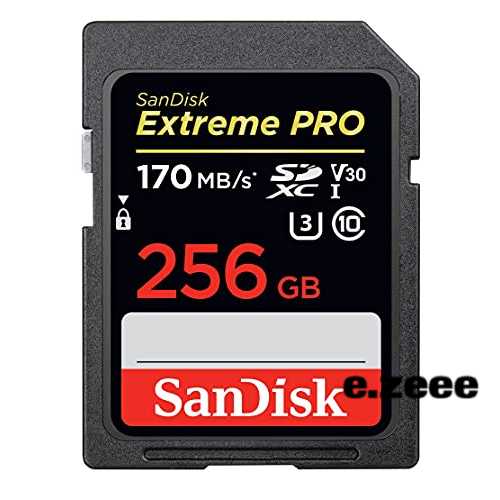sandisk 256gb extremeの通販