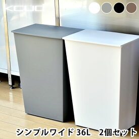 【2個セット】 クード ゴミ箱 kcud シンプル ワイド SIMPLE WIDE ふた付き おしゃれ 分別 横型 ワイド キッチン 岩谷マテリアル アッシュコンセプト 北欧 45リットル ゴミ袋対応 キャスター
