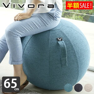 y910̓|Cgő10{Ձzvivora oX{[ V[eBO{[ [m VFj[ jh~ |vt 65cm Jo[t d\  ^ ̊ g[jO p  