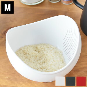  {E 炭`{E  MTCY b`F Richell Lb`{E p{E HΉ ؂肴  {E  Lb`  ĂƂ ֗O