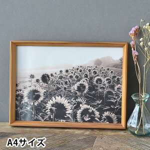 tHgt[ A4  VV[Y tHgt[ A4TCY u Ǌ| ؐ AeB[N ʐ^ 킢 ʐ^ Vv X^h ؖ k v[g