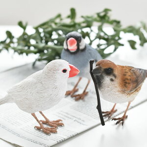 y121̓|Cgő10{Ձz XY u BIRDLE BILL o[fB r Nbvz_[  XY  WoXp[ A u IuWF   킢  