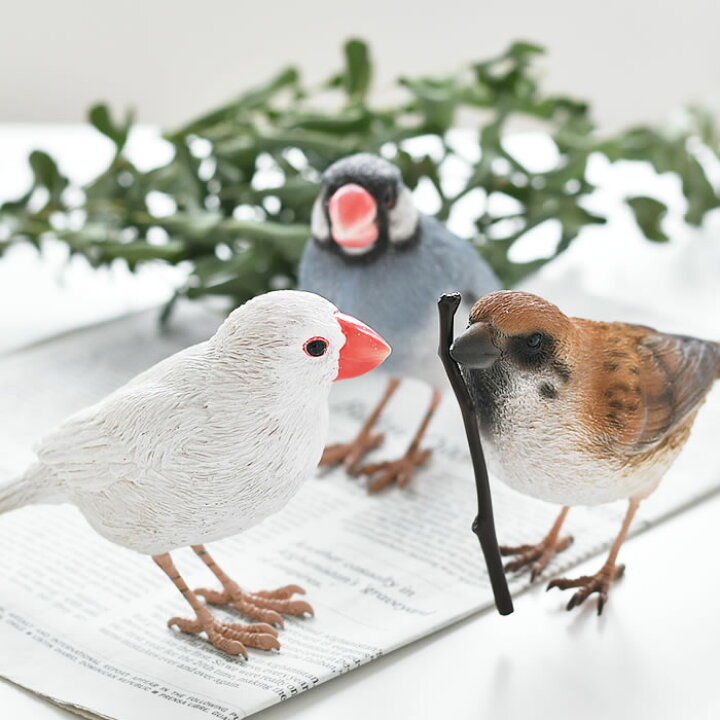 楽天市場 文鳥 スズメ 置物 Birdle Bill バーディ ビル クリップホルダー すずめ スズメ 文鳥 ジャバスパロー リアル 置物 オブジェ 小鳥 おしゃれ かわいい 桜文鳥 白文鳥 北欧 ギフト プレゼント クリップ メッセージ 玄関 リビング バード 庭と雑貨のある家 Eze エズ