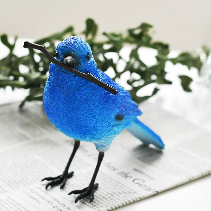 楽天市場 青い鳥 置物 Birdle Bill バーディ ビル クリップホルダー ブルーバード リアル オブジェ インテリア 北欧 鳥 おしゃれ かわいい 置物 ディスプレイ ギフト 幸せの青い鳥 プレゼント 玄関 庭 クリップ 庭と雑貨のある家 Eze エズ