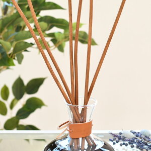 Carafe JtF fBt[U[ XeBbN fBt[U[ pXeBbN 40cm XeBbN  6{  Vv lC p[h XeBbN XeBbN A} XeBbN [h A