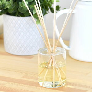 yԌI|Cgő10{Ձztolewa g fBt[U[ [hfBt[U[ KX KX{g 100ml [YVgX x_[EbfB WX~u[P ^Xe