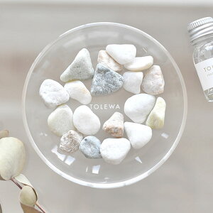 tolewa g tOX؃u fBt[U[ Xg[fBt[U[ CeAtOX tOXIC tOX Mtg KXv[g  ؃u G  