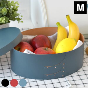 ANVX AXCIS VF[J[ I[o {bNX J[ M-size ؔ nhCh [{bNX  CeA 킢 Wt [ AeB[N JtF Vv i` k ANZT