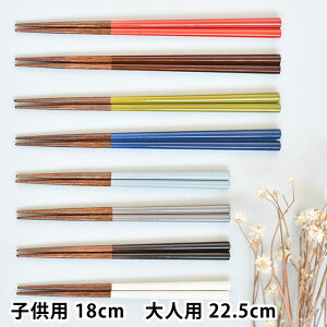 p  qp18cm/lp22.5cm TCt  H@Ή p^ ~ { ͂  Jg[ n`JNgETC eq  jp VR Vv ₷ H q