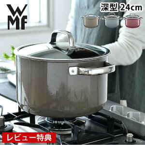 WMF F[GGt t[WebN ~l nCLZ[ 24cm  IHΉ KXΉ Wt  H@Ή  v  hCc yr[Ttz