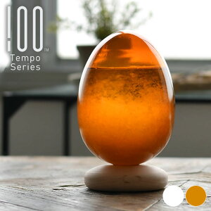 テンポパルス ストームグラス tempo pulse 100percent 正規品 スタンド付き インテリア 北欧 雑貨 オブジェおしゃれ クリア アンバー ガラス 木 誕生日 プレゼント ギフト 男性 女性 お祝い テンポ