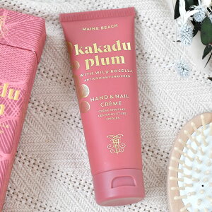 }Cr[` JJhDv nhlCN[ 100ml nhN[ lCN[ I[KjbN zzoV[hIC 100ml  lC Mtg ێ lCPA VR   X