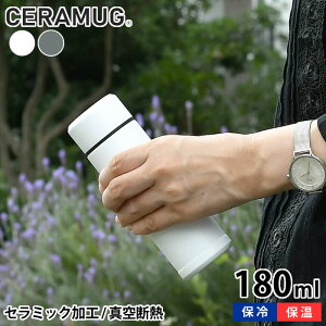 y910̓|Cgő10{Ձz~j{g  180ml Z}O ^fM ۉ ۗ MB-06S  |PbgTCY Z~bNH XeX d\  }C{g Mtg v