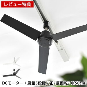 y1̓|Cgő10{Ձzyr[Ttz_Ng[t@ DC[^[ vX 50 _Ng[t@ V[Ot@ T[L[^[ ȒPt Rt ʒ 