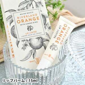 }Cr[` o[hIW bvo[ bvN[ I[KjbN VAo^[ I[KjbN {fBPA   蕨  v[g nhPA ێ Mtg 킢