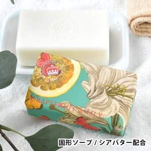 y1̓|Cgő10{ՁzCObV\[vJpj[ \[v 240g Ό Mtg Ό  Mtg Ō`Ό pxt[  킢 ێ CMX VAo^[ 