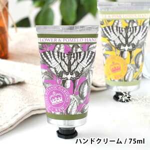 CObV\[vJpj[ nhN[ 75ml nhN[ Mtg nhN[ v[g CMX pxt[  VAo^[ ێ  킢 ێ Mtg 