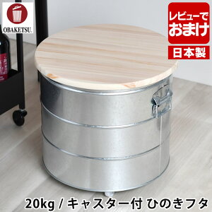 yr[TtzĂт OBAKETSU IoPc CXXgbJ[ 20kg LX^[t Ђ̂t^  yʃJbvt ۑe CX{bNX XgbJ[ 􂦂 {  g ybg