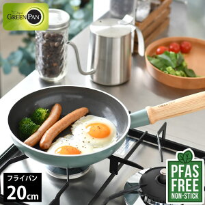 tCp 20cm GREENPAN O[p tCp 20cm Ct[ O[p tCp 20cm PFAS FREE u[ łɂ Mtg ȒP A~ k ؐ łtȂ M` 