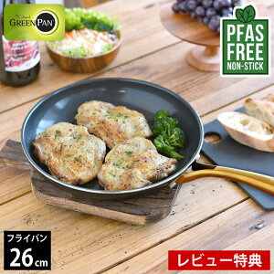 yr[TtztCp ih 26cm GREENPAN O[p tCp 26cm XgDfBI O[p KX IH _CAh KX ubN tbfHȂ Z~bN  Mtg 
