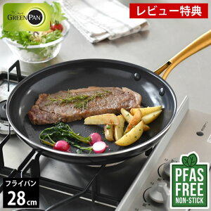 y11/25̓|Cgő10{Ձzyr[TtztCp 28cm ih GREENPAN O[p tCp 28cm XgDfBI O[p tCp M`  IHΉ _CAh Mt