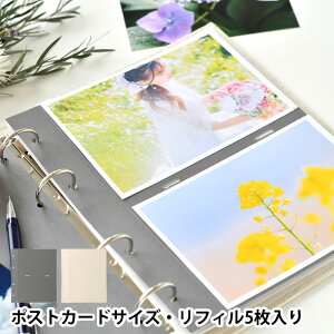 }[NX Ao tB |PbgtB |XgJ[hTCY 5 }[NX MARK'S ʐ^ ǉ LO XNbv oYj   q xr[ |XgJ[h O[ AC{