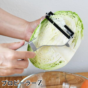 y121̓|Cgő10{Ձzs[[ { acX vs[[Z ނ { Lb`pi ؂ dx XeX Lxc ₷  ΂