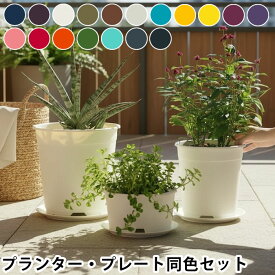 プランター おしゃれ PLANTS GROWING POTS 3サイズ同色セット 植木鉢 プラスチック カラフル 鉢 ポット 水受け 花 受皿 通気性 屋内 屋外 鉢カバー 新生活 国産樹脂 日本製 鉢植え プランター 室内 軽量