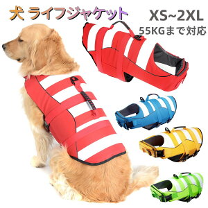 �� ���C�t�W���P�b�g �� ���C�t�W���P�b�g ���^�� ��^�� ���p �~������ ���V�� �傫���T�C�Y �y�b�g �� ���C�t�W���P�b�g ���p �h�b�O �y�b�g ���S ���S �����^�� ���^�� ���^�� ��^�� ���V