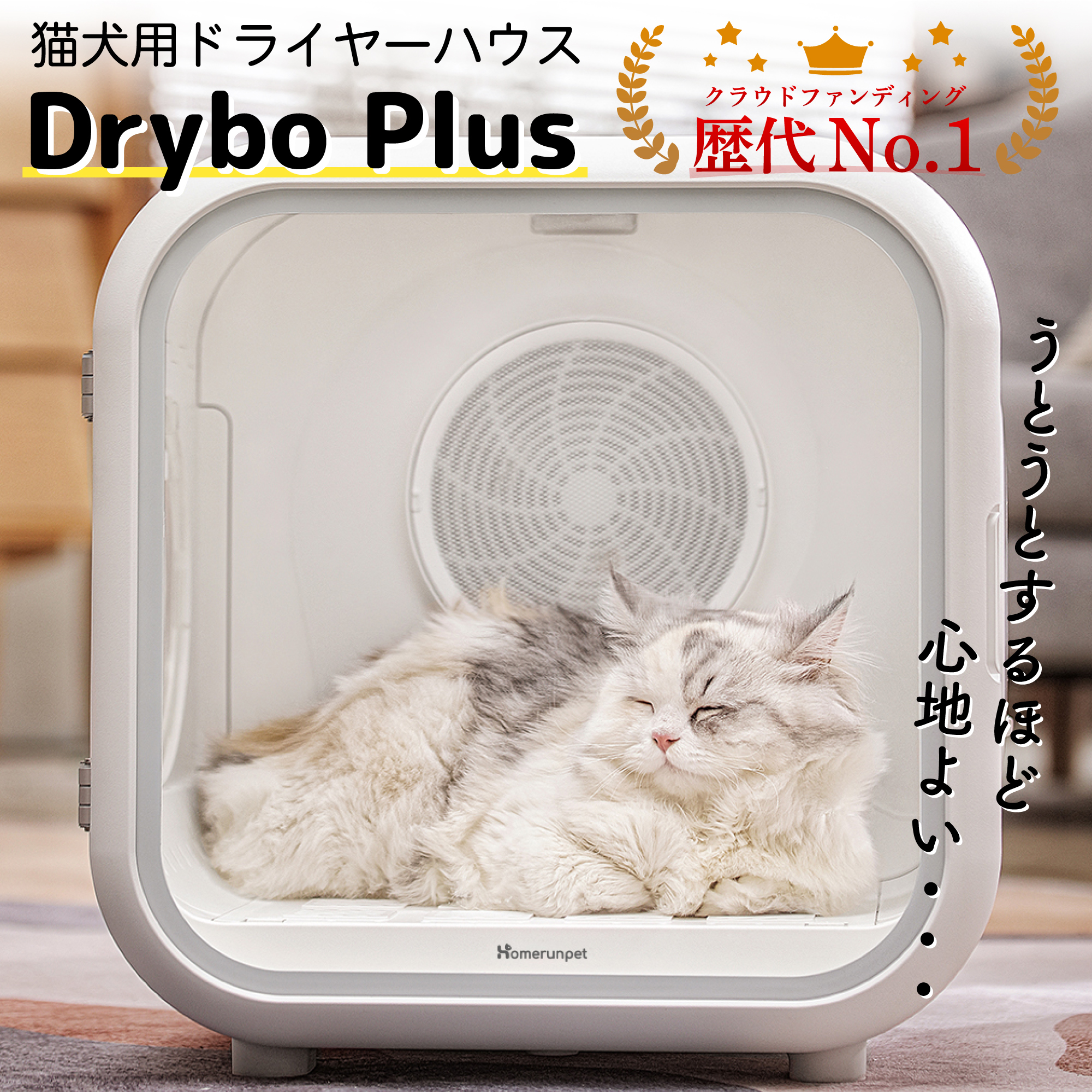 楽天市場】Drybo Plus ペットドライヤー ハウス PD50 自動 ペット乾燥