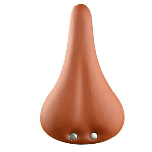 DAHON _z  Th g Be[W U[ v