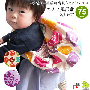 C~ 75cm  G`m echino  ӂ낵  {  킢 q ꏡ ꐶ 1 a j C~obO GRobO dp C C~X Mtg TCY 