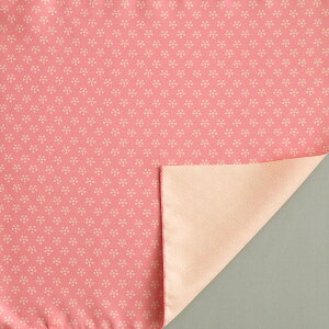 C~ 45cm  GF x~ sN |GXe ӂ낵  {  킢 Vv a a ٓ `[t bsO C~X ނ j v[g v`