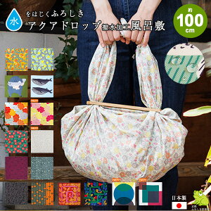 C~ 唻 100cm O H ANAhbv TCN |GXe ӂ낵  {   TCY k  j Mtg v[g 킢 GRobO b