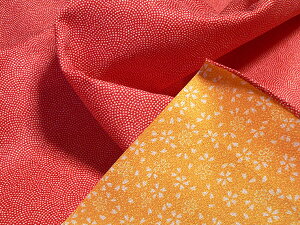 C~ 70cm  o[Vu L  ʐ |GXe ӂ낵  {  킢 Vv a a q ꏡ ꐶ 1 a j GRobO dp 