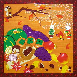 C~ 50cm ^yXg[ Ǌ| C~ ̎n ȏӂ낵  { 11 H  RpNg 킢 j Mtg v[g v`Mtg ٓ C~X 