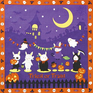 C~ 50cm ^yXg[ Ǌ| C~ ̃nEB ȏӂ낵  { 10 H ڂ  RpNg 킢 j Mtg v[g v`Mtg ٓ 