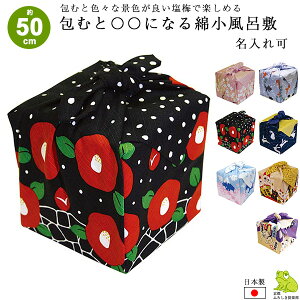 C~ 50cm ٓ C~ ނƁZZɂȂ ȏӂ낵   xmR L    { `NX  킢 bsO C~X j Mtg v