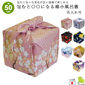 C~ 50cm ٓ C~ ނƁZZɂȂ ȏӂ낵   xmR L    { `NX  킢 bsO C~X j Mtg v