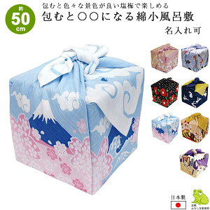 C~ 50cm ٓ C~ ނƁZZɂȂ ȏӂ낵   xmR L    { `NX  킢 bsO C~X j Mtg v