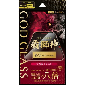 MSソリューションズ iPhone 17 国内メーカー品 ガラスフィルム iPhone17 アイフォン17 液晶ガラスフィルム スマホガラスフィルム フィルム 保護ガラスフィルム 覗き見防止