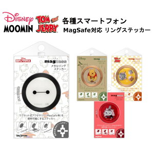 ^OXebJ[ MagSafeOXebJ[ }OZ[tXebJ[ X}zp MagSafeCϊXebJ[ }OZ[tV[ ֗ Vv IV 킢 fBYj[ gƃWF[ 