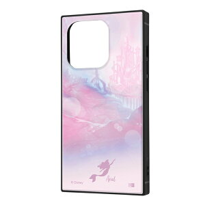 iPhone 14 Pro [J[i P[X Jo[ iPhone14Pro ACtHtH[eB[ v ACz X}zP[X fBYj[LN^[ ϏՌnCubhP[X KAKU AG docomo hR au sof