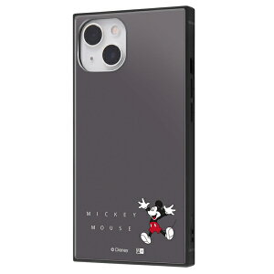 iPhone13 [J[i ϏՌ Ռz X}z ACtH13 P[X iPhone 13 ~bL[}EX KAKU lp nCubh fBYj[  [ au hR docomo
