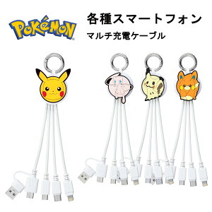 TNXg [J[i [dP[u USB[dP[u Lightning{Type-C{microUSBP[u X}zP[u |PbgX^[ }`P[u sJ`E ~E ~~bL p [d