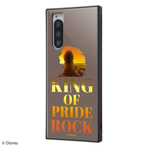 Xperia5 [J[i ϏՌ Ռz au hR docomo \tgoN AhCh GNXyAt@Cu fBYj[ CILO Vo SO-01M SOV41