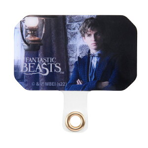 X}[gtH [J[i Xgbvz_[ t@^XeBbNEr[Xg Xgbvz_[ j[gEXL}_[  킢 IV 