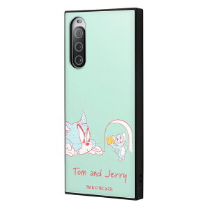 Xperia 10 V [J[i P[X Jo[ Xperia10V GNXyA e }[Nt@Cu X}zP[X gуP[X gƃWF[ ϏՌnCubhP[X KAKU gƃWF[ yV docomo au softba