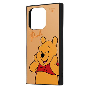 iPhone 15 Pro [J[i P[X Jo[ iPhone15Pro ACtH tBteB[ v ACz X}zP[X gуP[X fBYj[ nCubhP[X KAKU ܂̃v[ v[ 킢 I